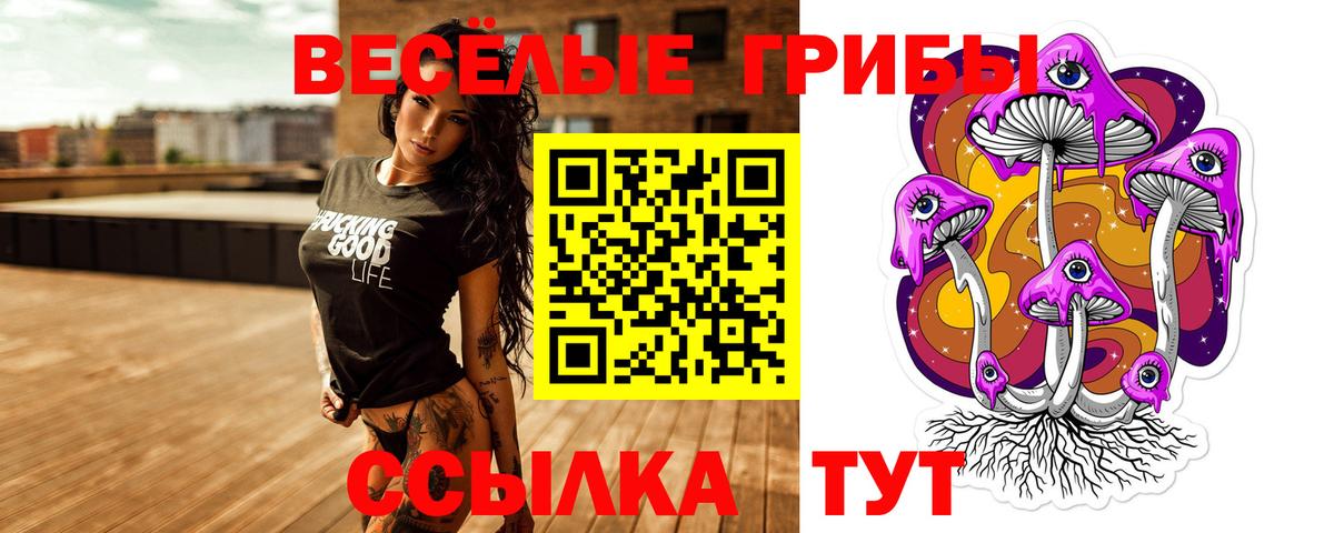 Псилоцибиновые грибы прущие грибы  Вход с VPN  Мурино 