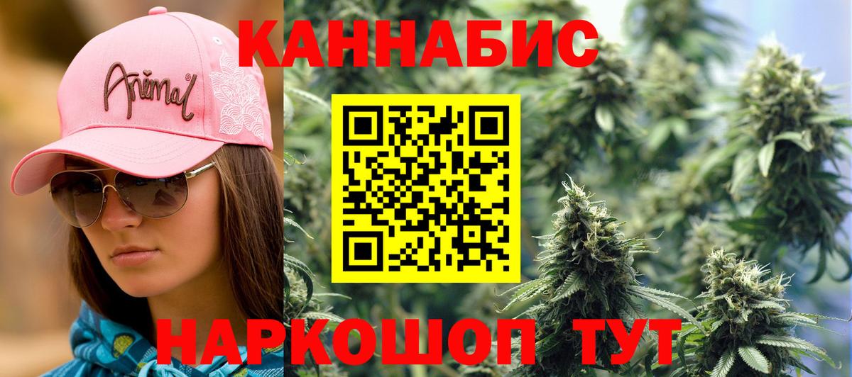 Шишки марихуана план  Бошки Шишки AK-47  Вход с VPN  Марихуана Amnesia  Мурино  Бошки марихуана индика 