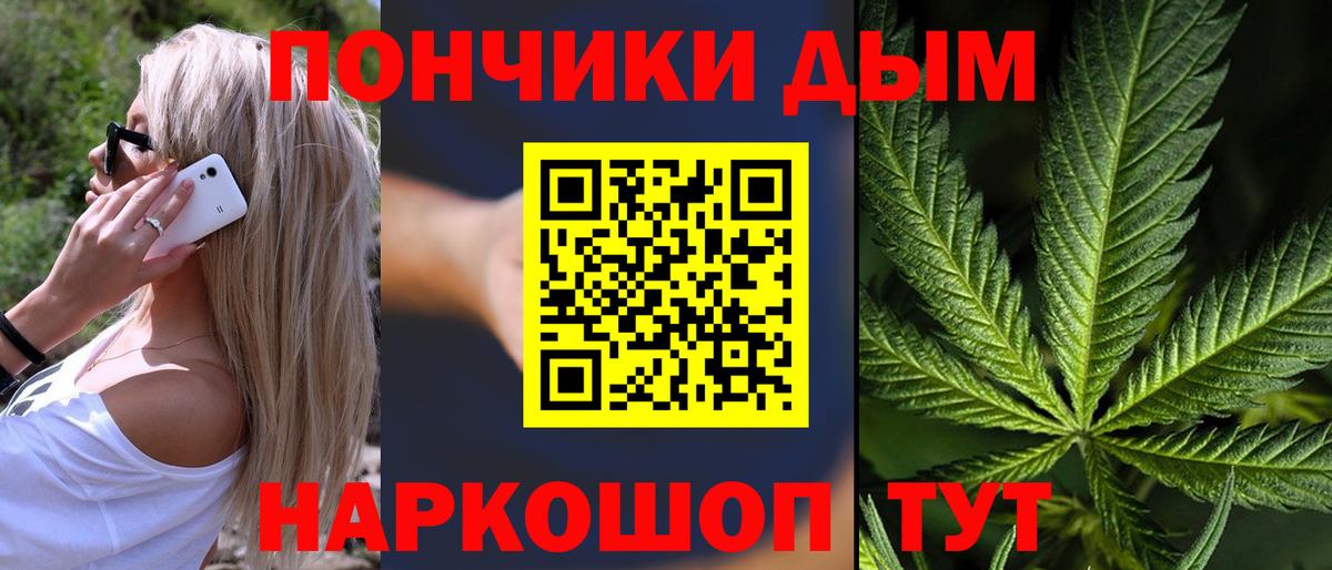 Каннабис конопля Мурино